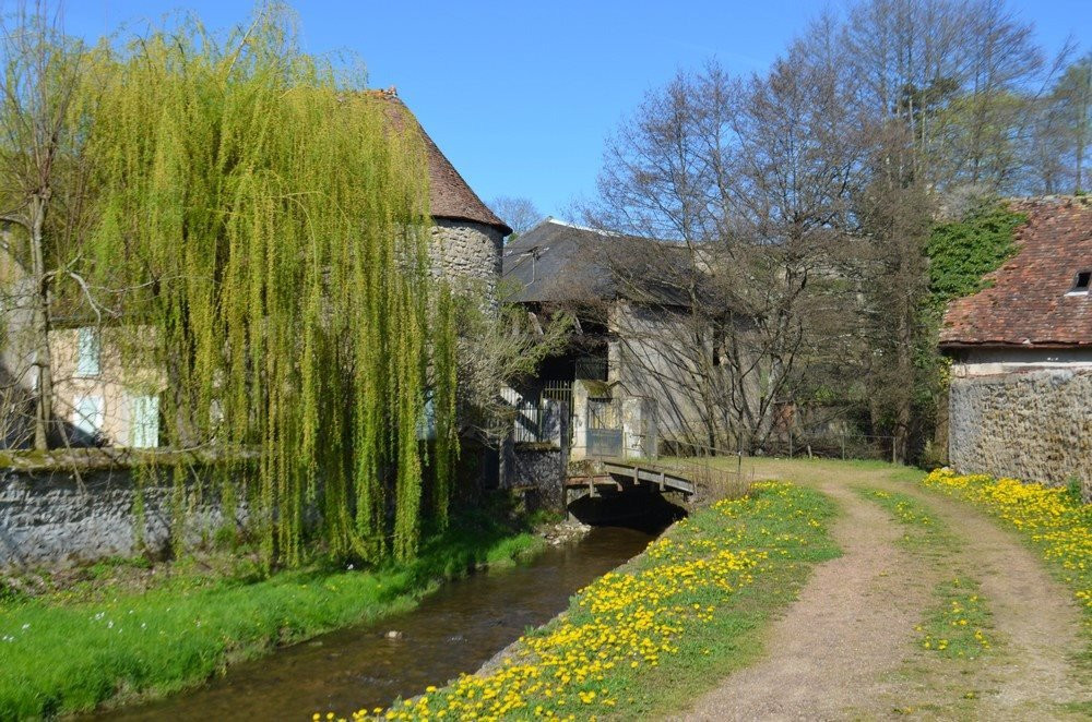 Moulins-Engilbert旅游攻略图片