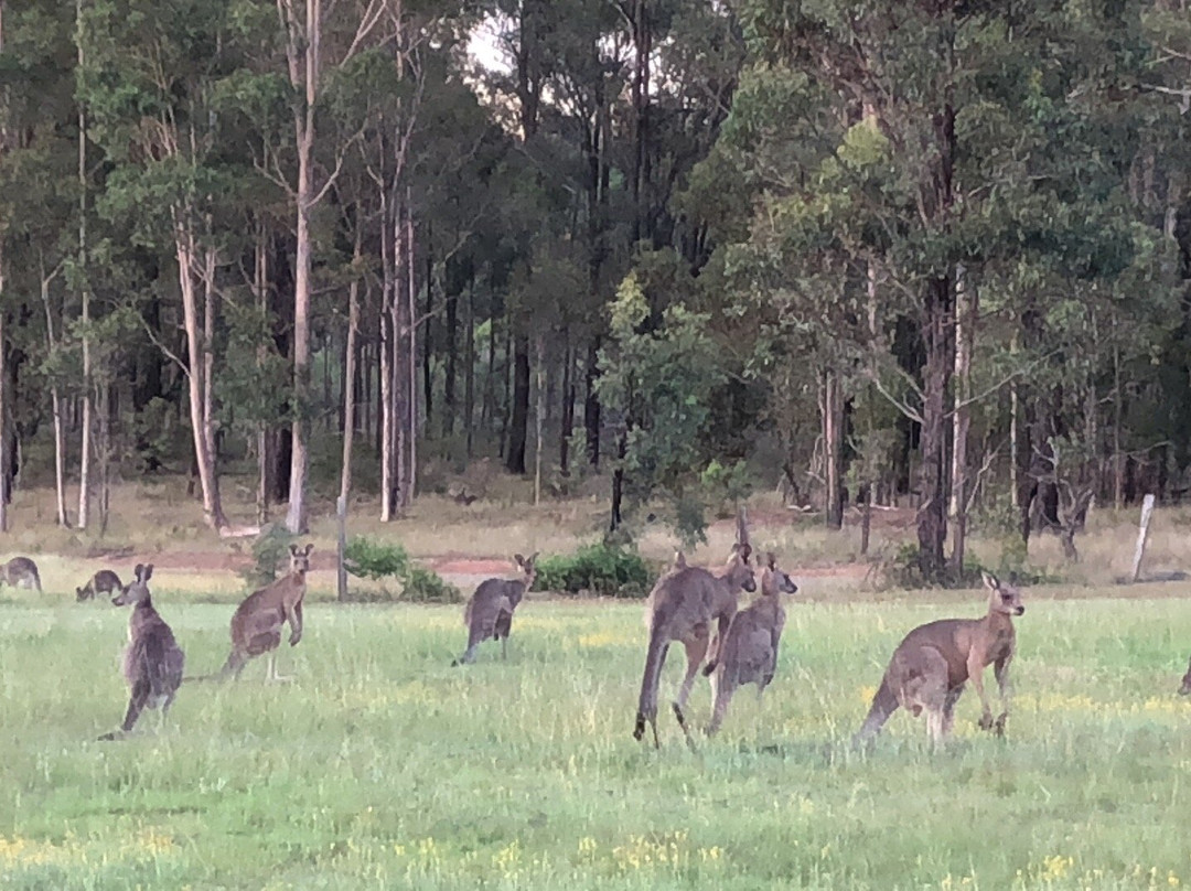 普罗旺斯别墅酒店主图
