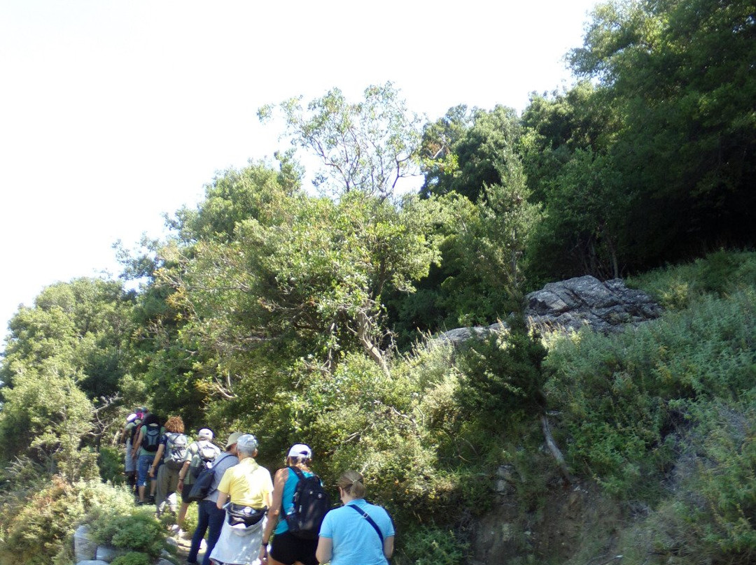 Dolihi Tours-Ikaria必去景点