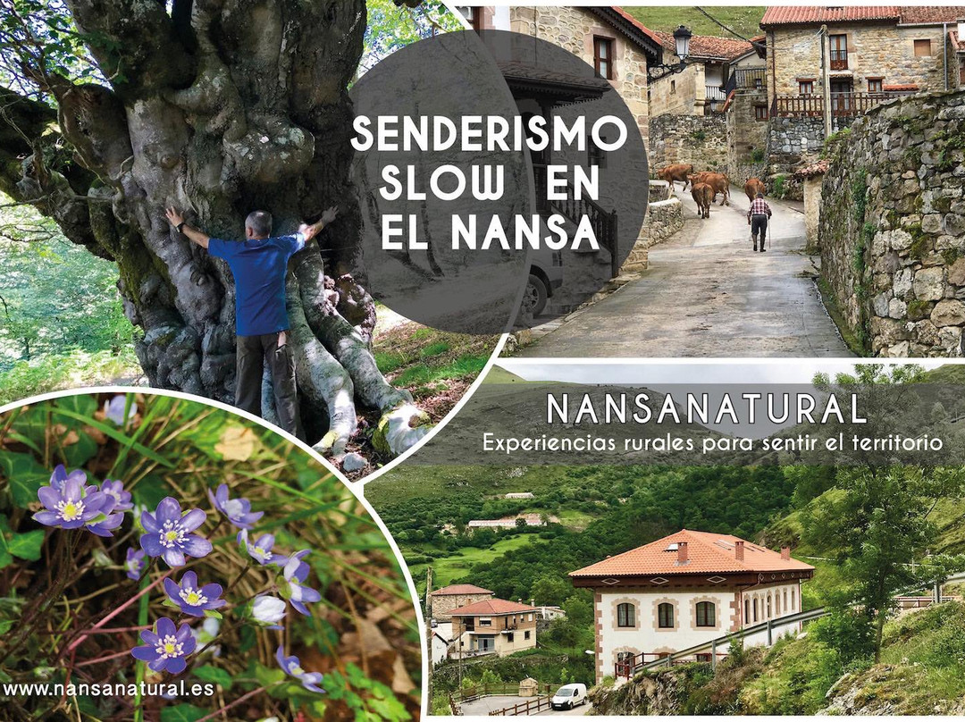 NansaNatural景点图片