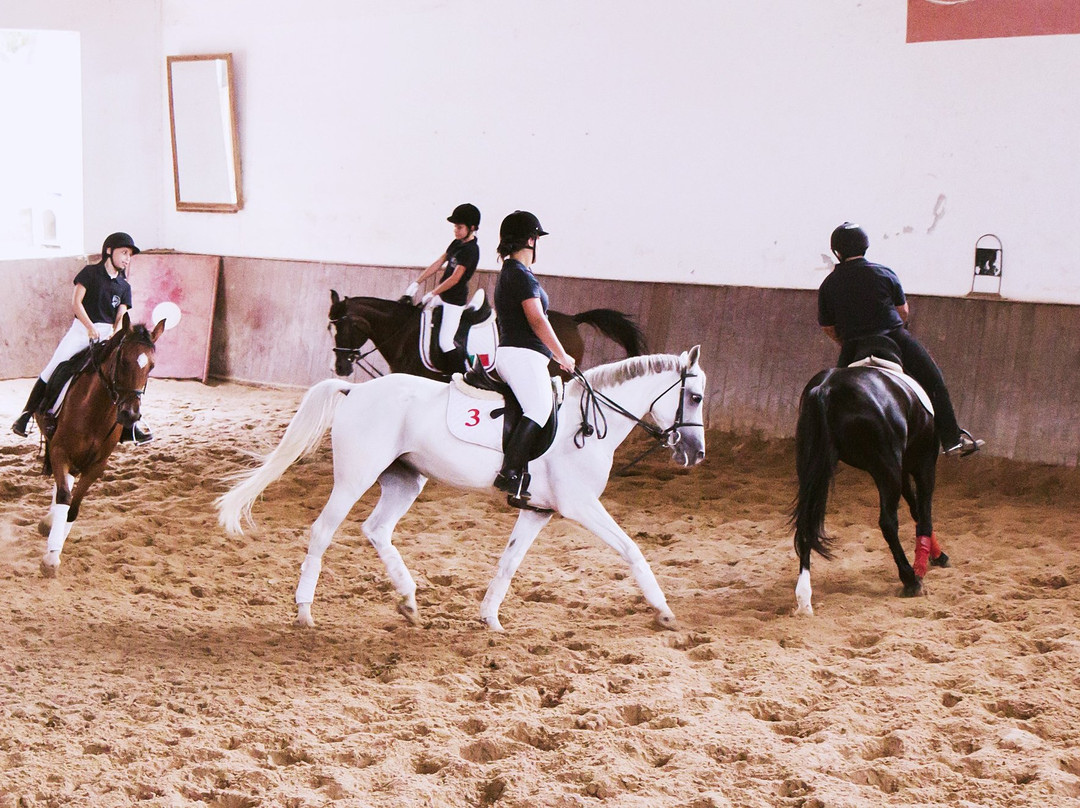 Clube Hipico Quinta de Santo Antonio景点图片