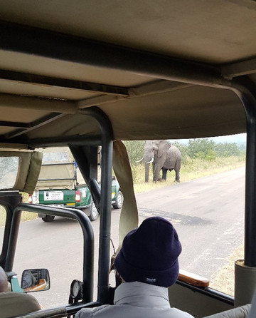 Safari's Direct-克鲁格国家公园必去景点