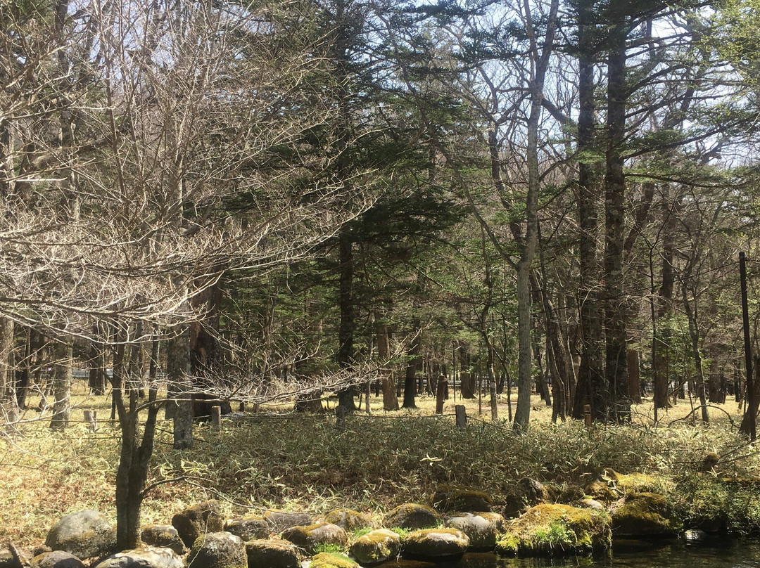 Sakana to Mori no Kansatsuen-日光市必去景点