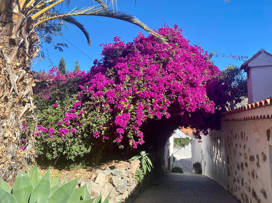 El Rincon de Fataga