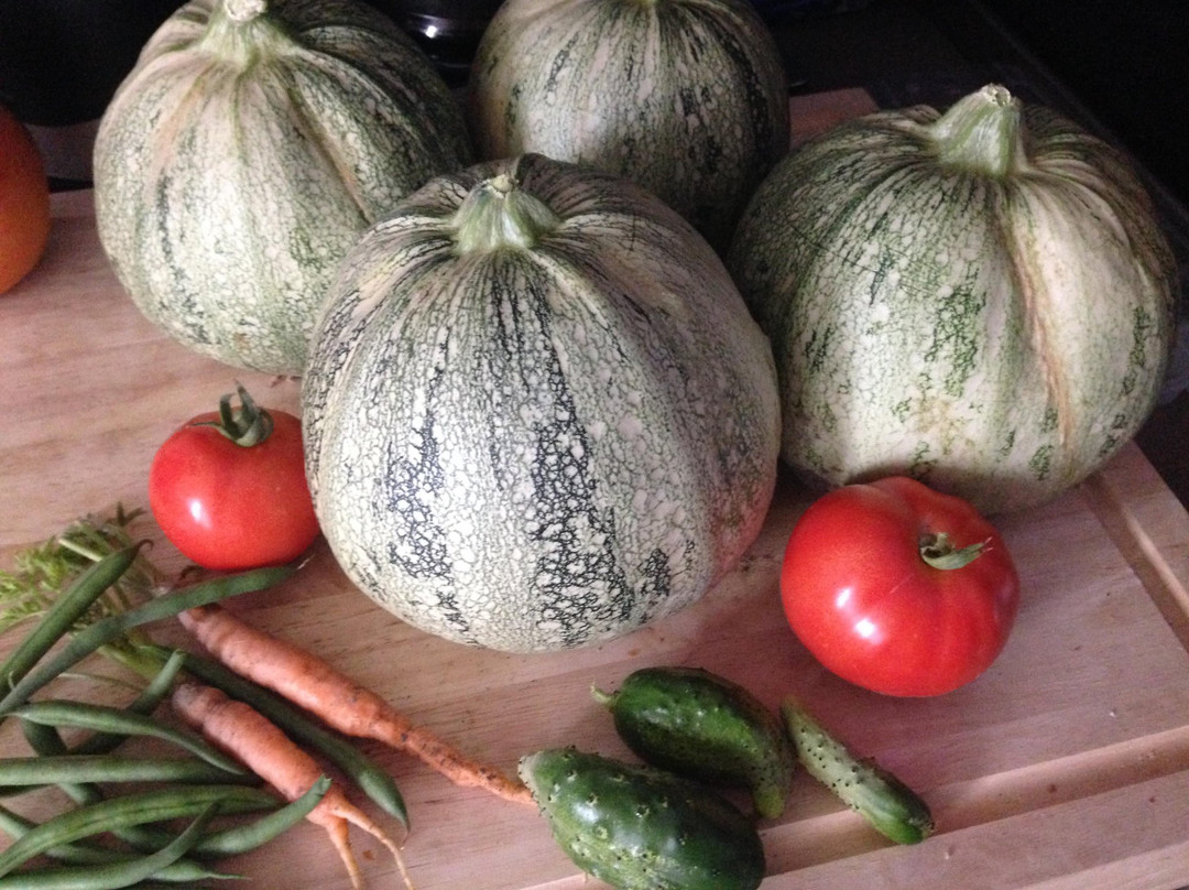 Chateau De Perpezat主图