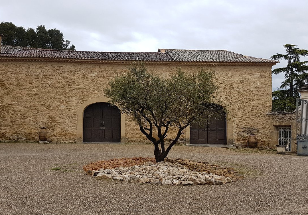 Château de Vaudieu景点图片