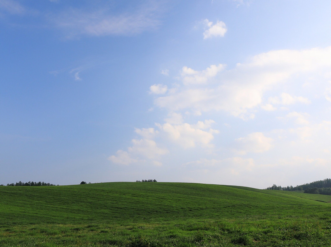 Nakanosawa Shogakko Bunko-富良野市必去景点