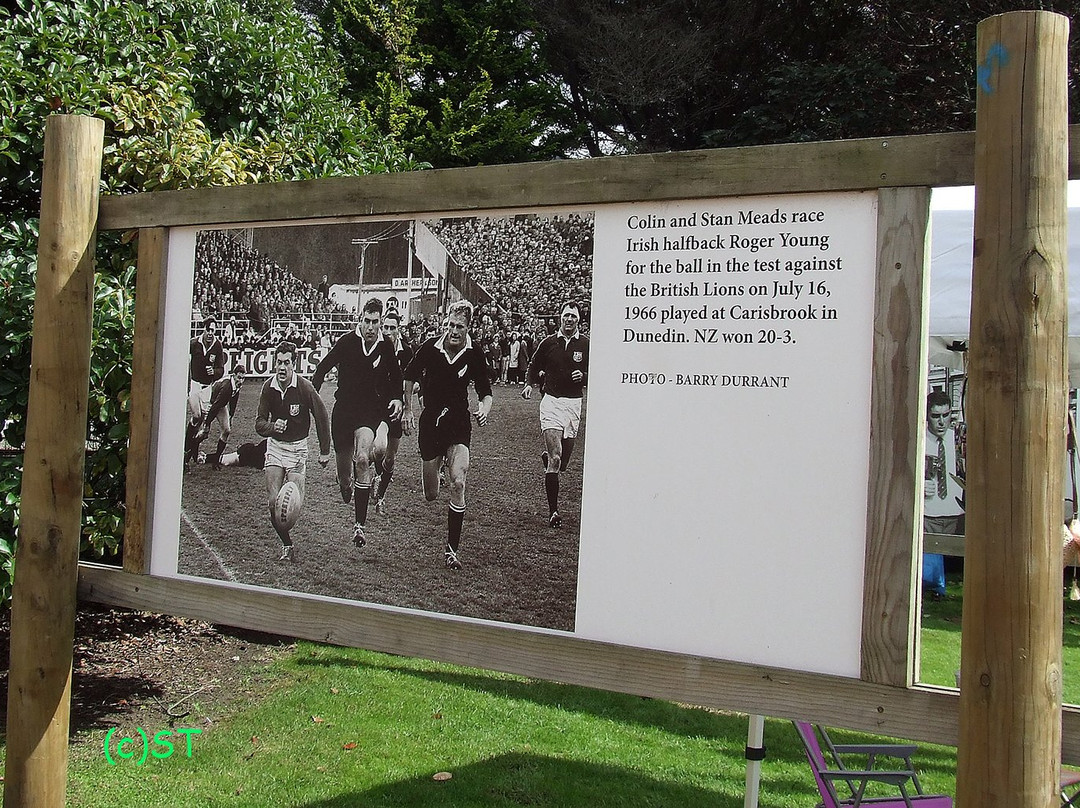 Sir Colin Meads Statue景点图片