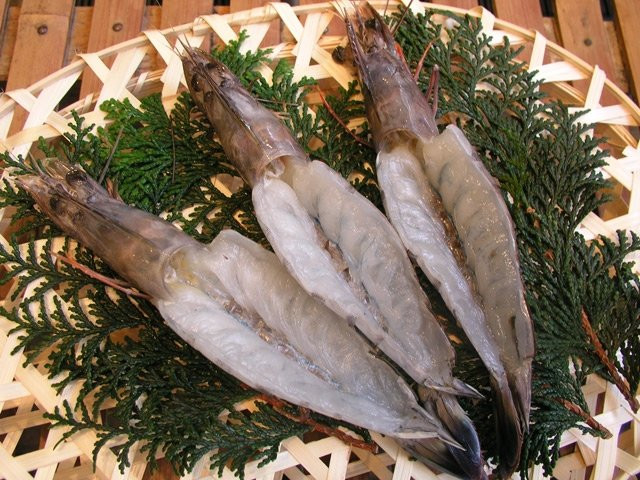 Kamatsuru Himono Shop-热海市必去景点