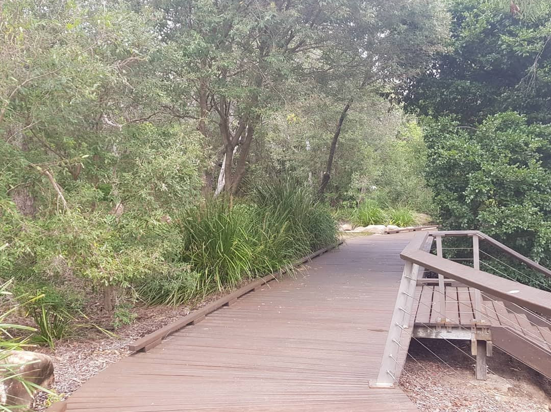 Canoe Point Beach and Parklands景点图片