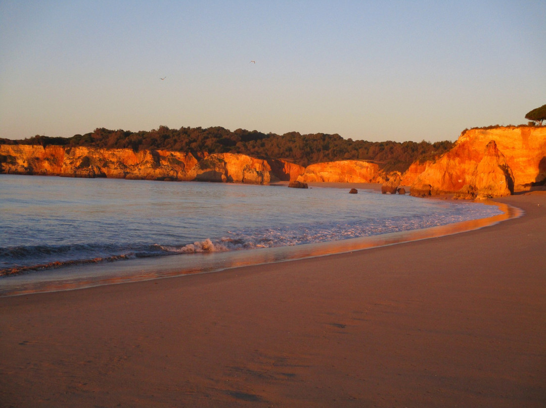 Barranco das Canas Beach-波尔蒂芒必去景点