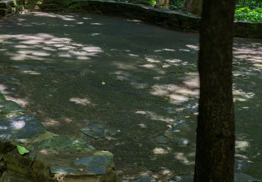 Bosque dos Alemães-坎皮纳斯必去景点