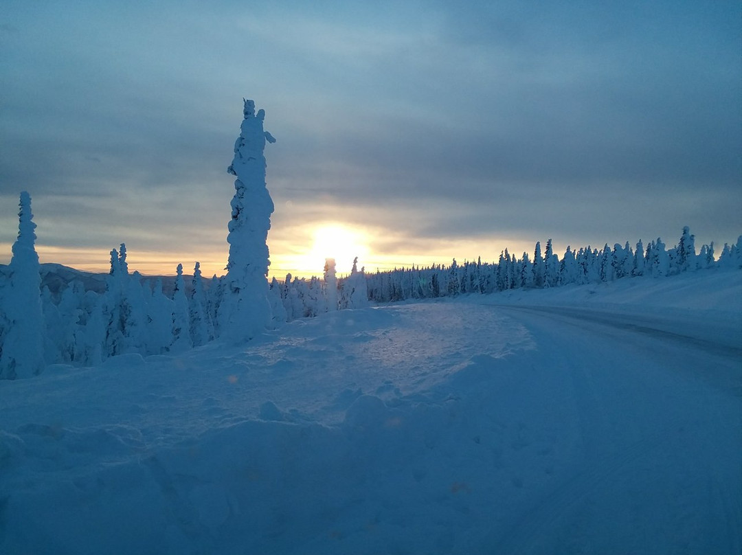 Alaska Skies Aurora Tours LLC-费尔班克斯必去景点