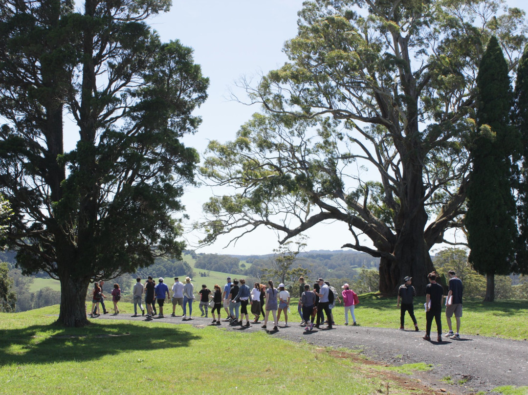 Maugers Paddock to Plate Tours-Robertson必去景点