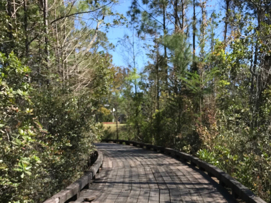 St. Johns Golf & Country Club-Sampson必去景点