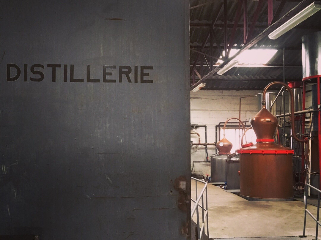 Distillerie Manguin-阿维尼翁必去景点