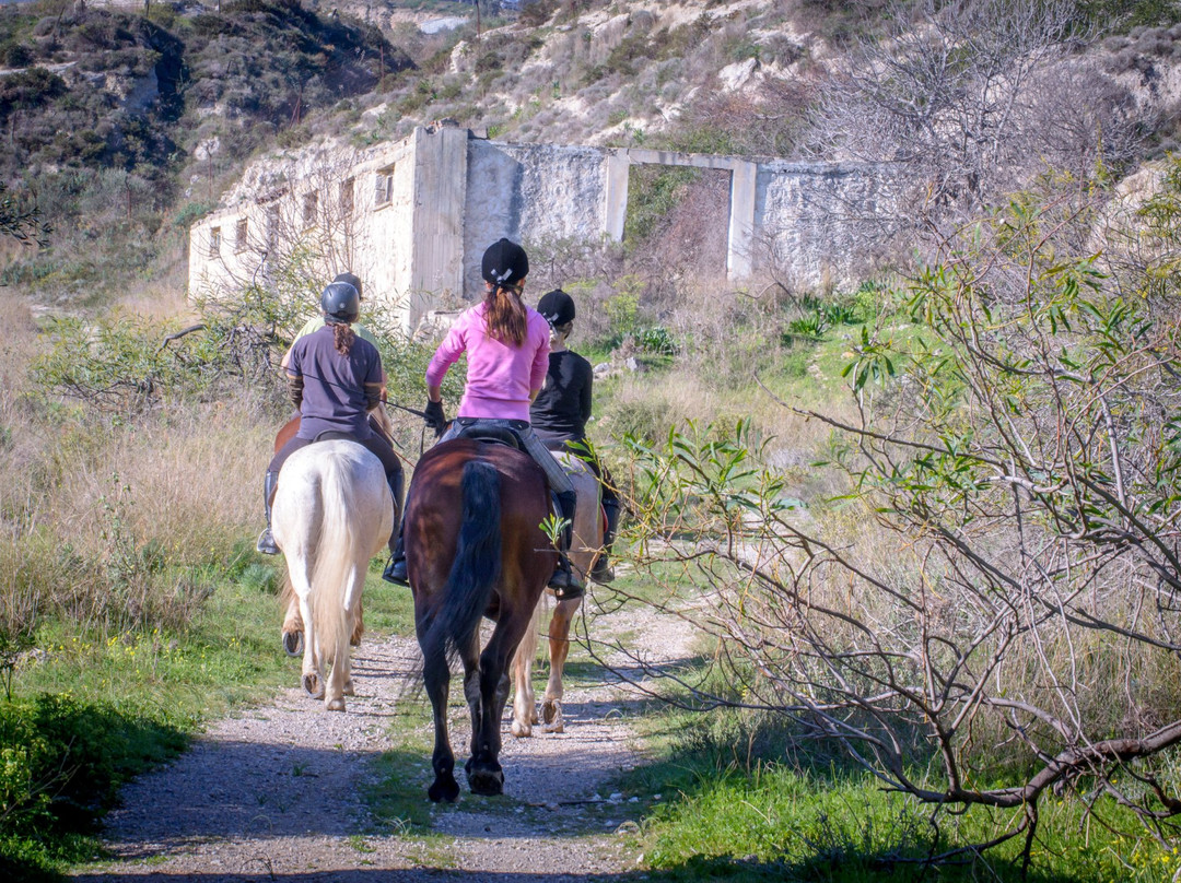 Riding Academy of Crete - Ippikos Riding Club-Karteros必去景点