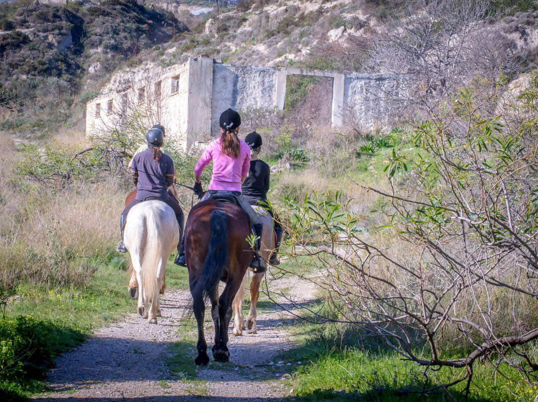 Riding Academy of Crete - Ippikos Riding Club景点图片