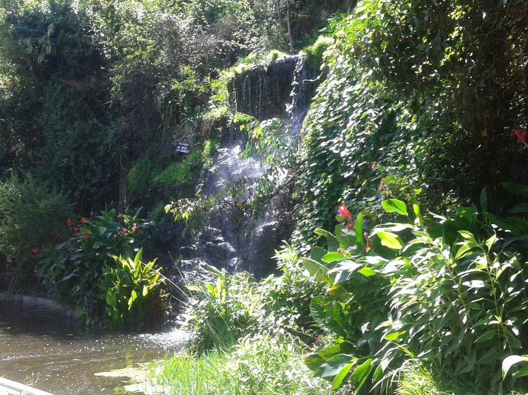 Cerro Condell-Curico必去景点