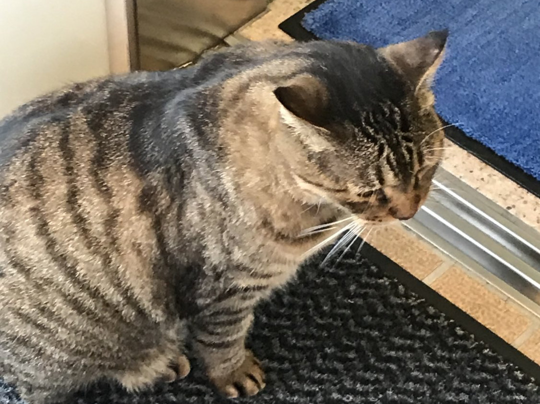 科尤娜米酒店主图