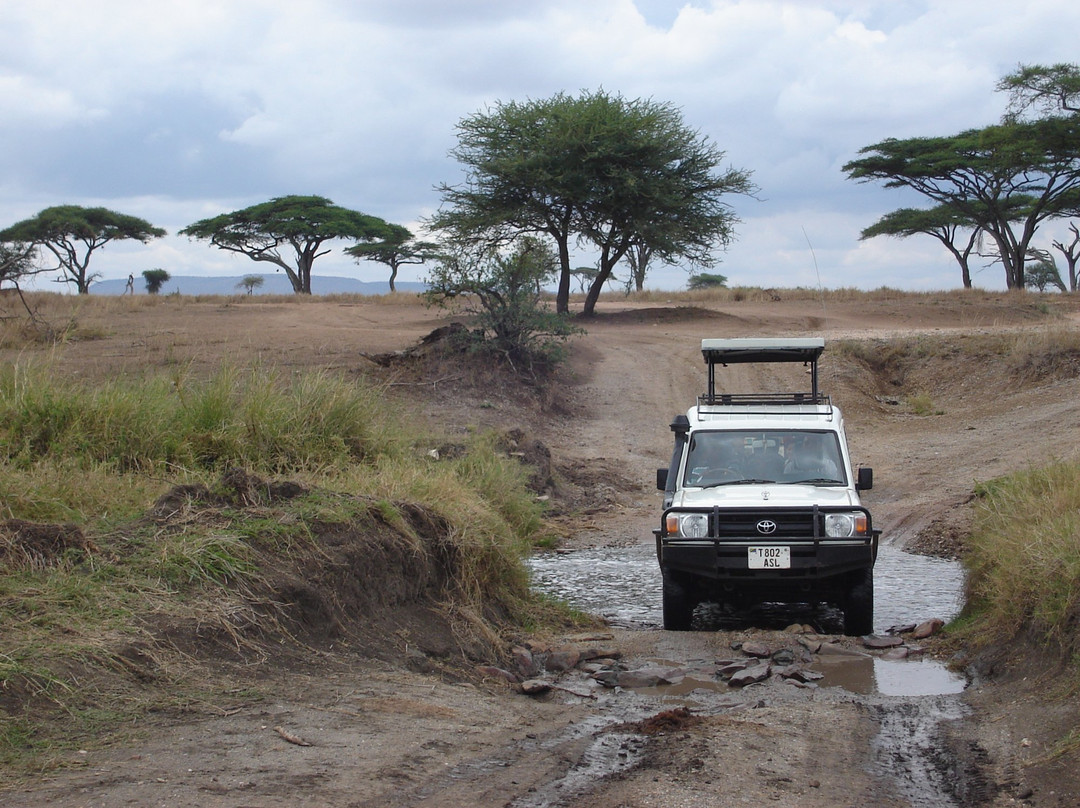 Masumin car hire & safaris-姆万扎必去景点