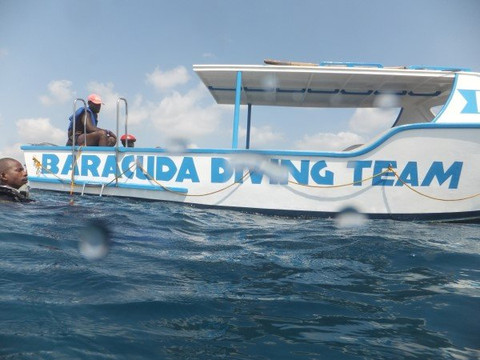 Baracuda Scuba Safaris-蒙巴萨必去景点