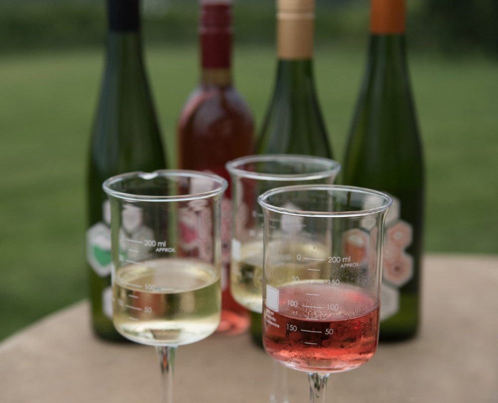 Galen Glen Winery景点图片