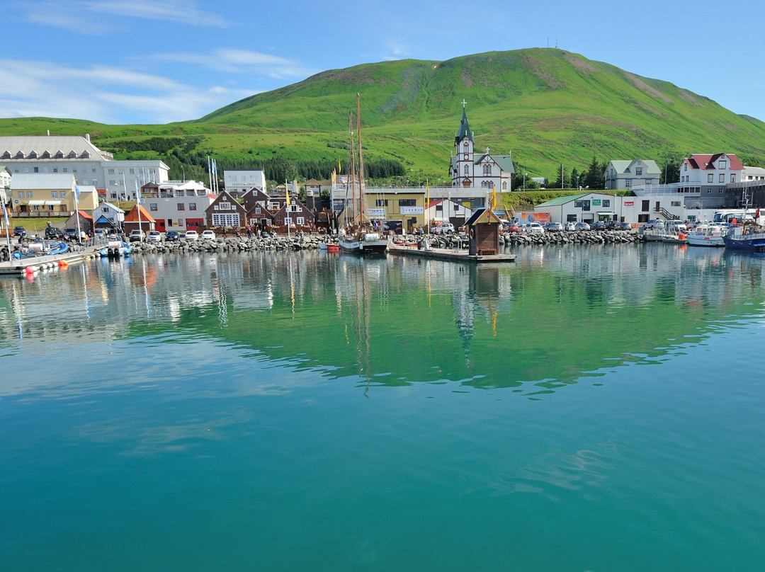 ToursByLocals - Reykjavik Tours-雷克雅未克必去景点