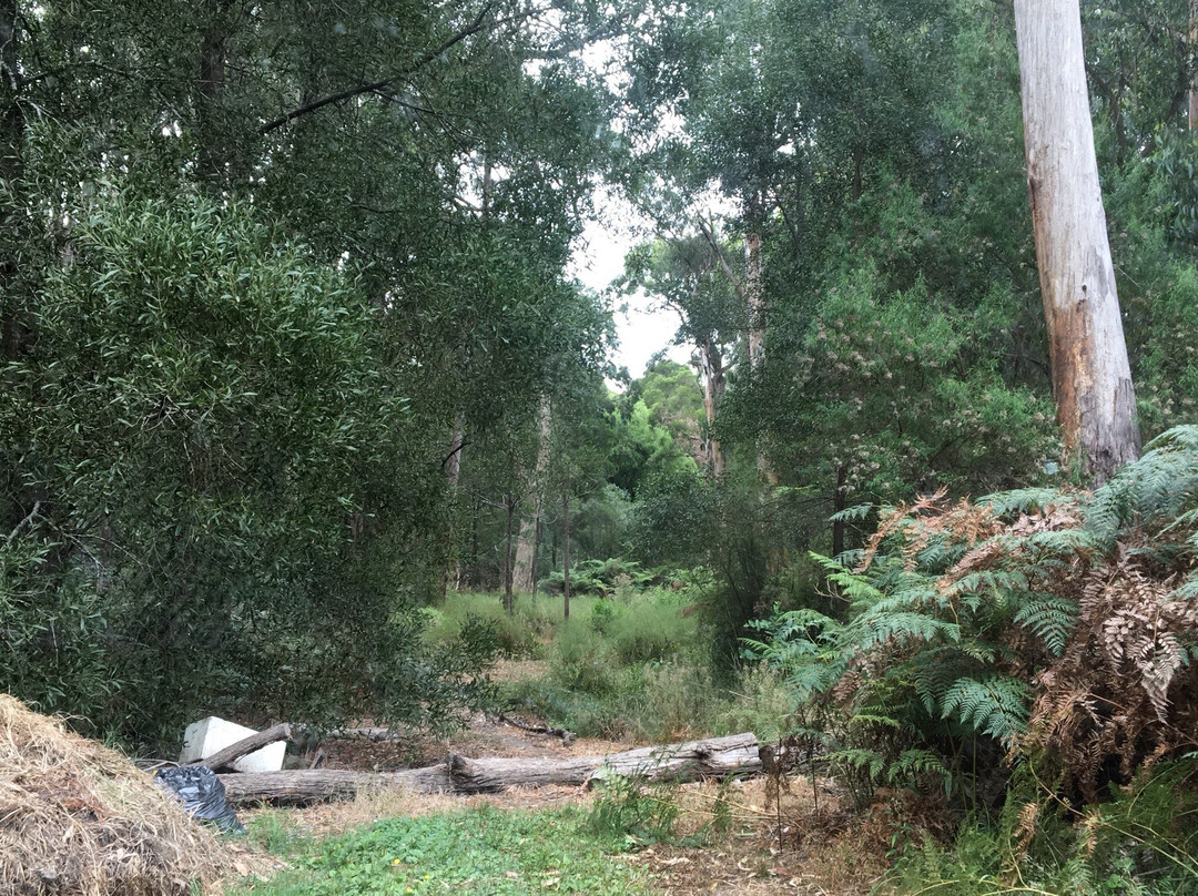 Minak Reserve-贝尔格雷夫必去景点