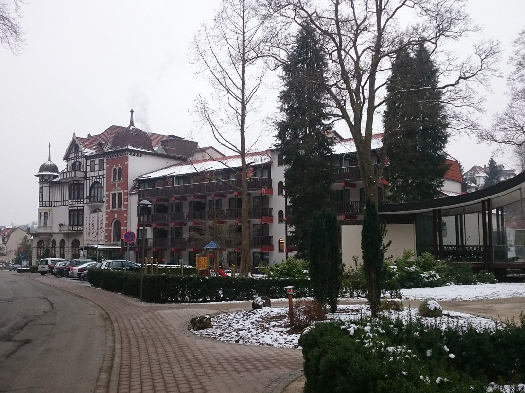 贝斯特韦斯特格贝尔巴特萨克萨酒店主图