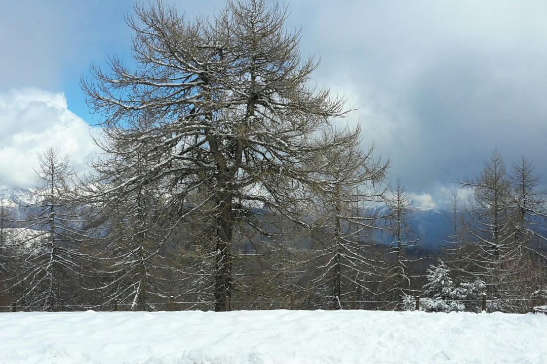 Parco Alpi Liguri-Pigna必去景点