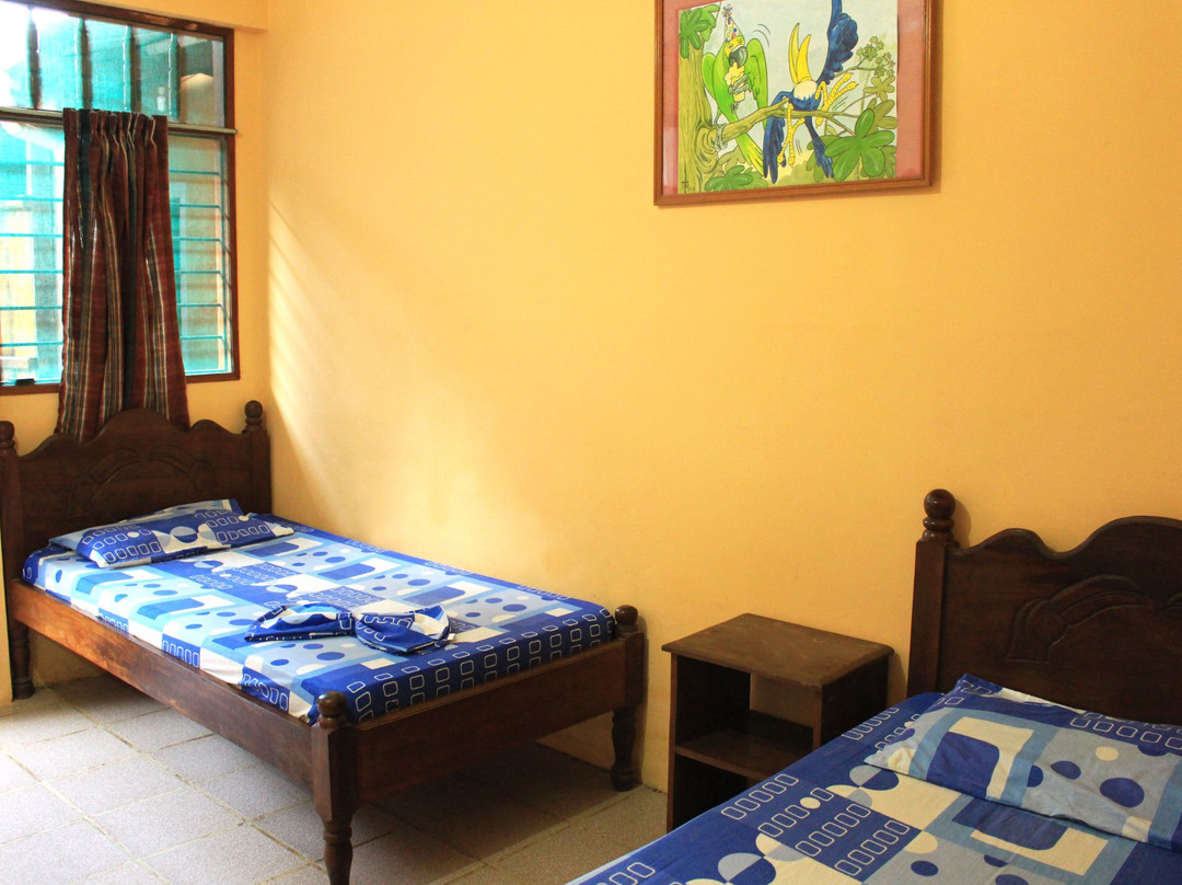 Los Tucanes de Rurre主图