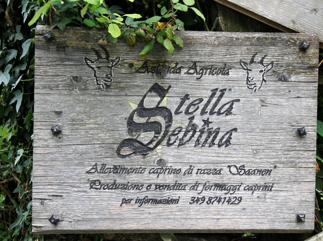 Azienda Agricola Stella Sebina景点图片
