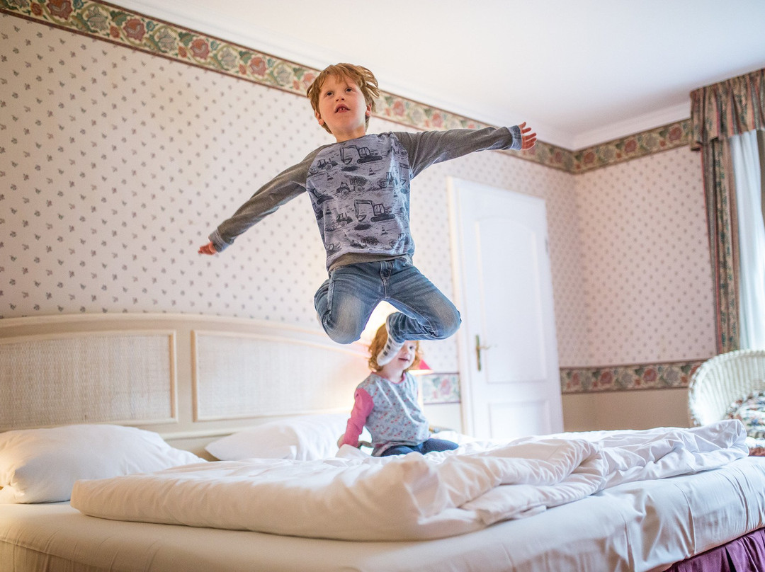 Familotel Borchard´s Rookhus主图