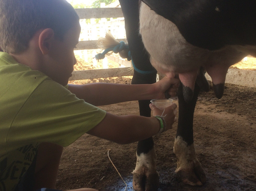 Hotel Canariu's de Gravata主图