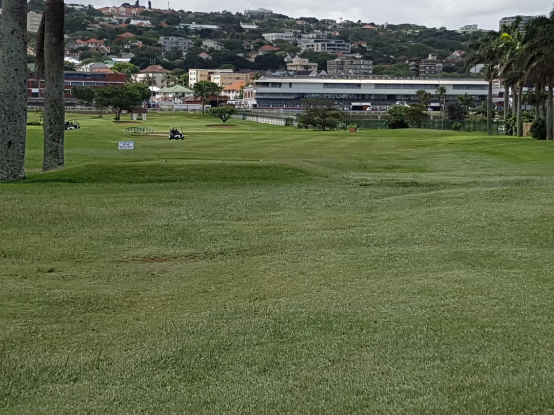 Royal Durban Golf Club景点图片