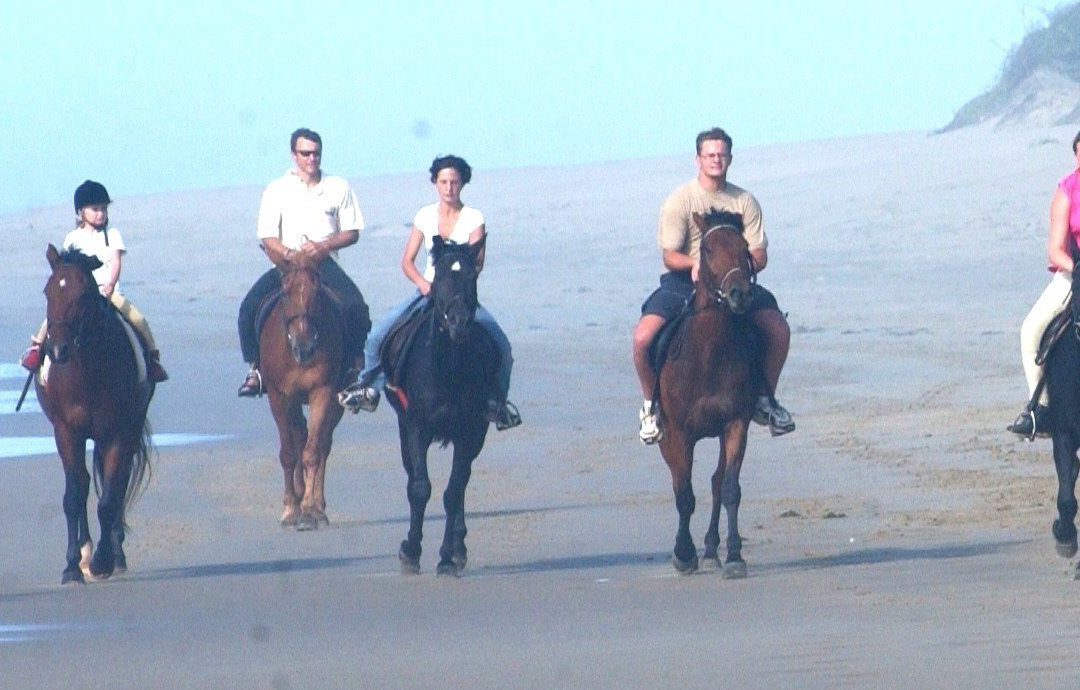 Selsdon Park Estate Beach Horse Rides-Marina Beach必去景点