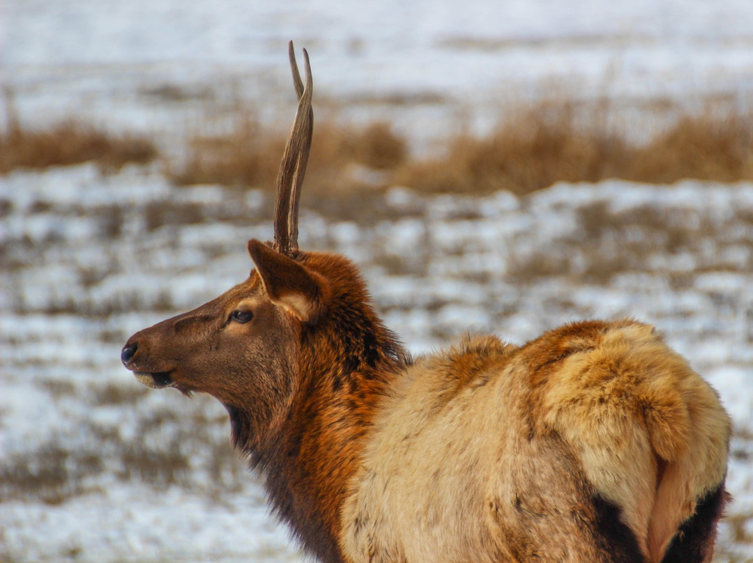 Hardware Ranch-洛根必去景点