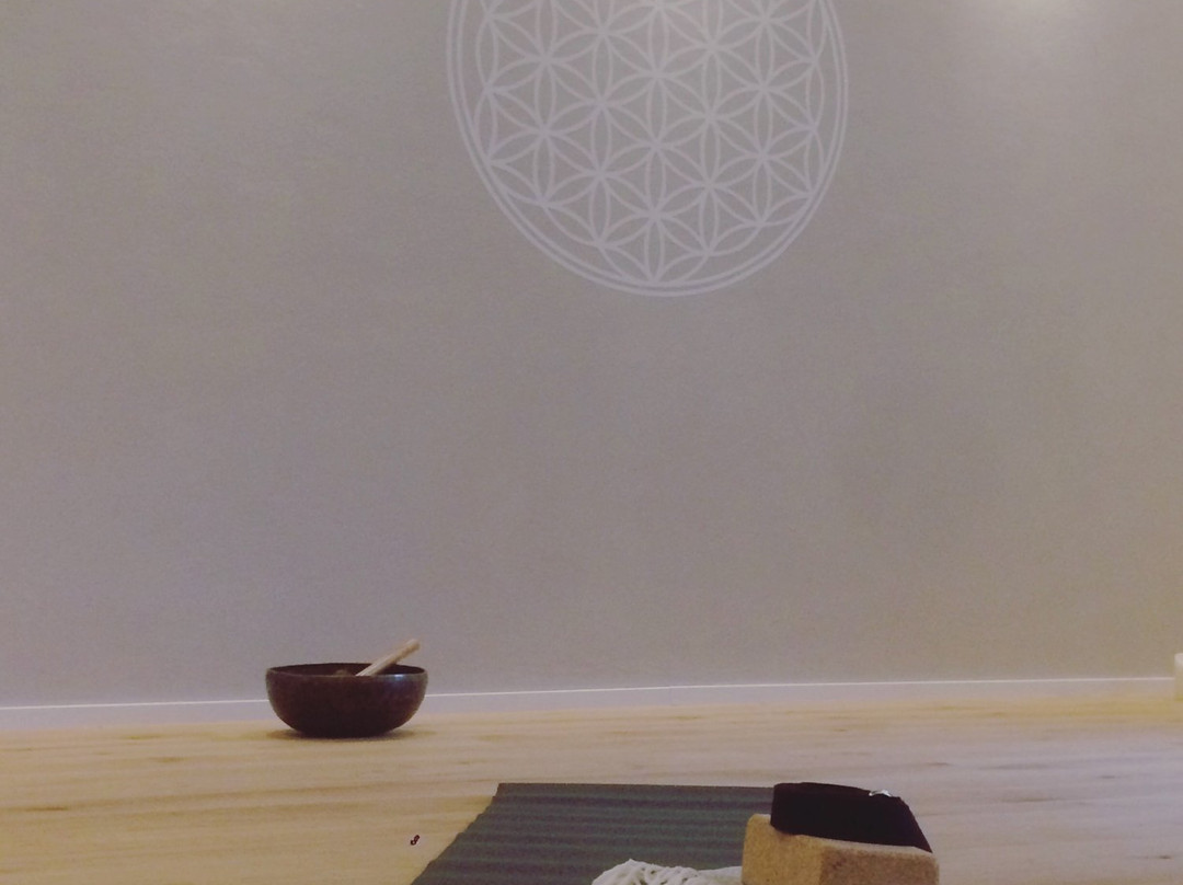 Yoga 21-埃尔兰根必去景点