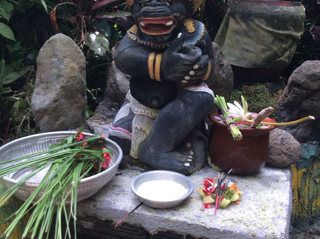 Bali Body Soul Spiritual景点图片