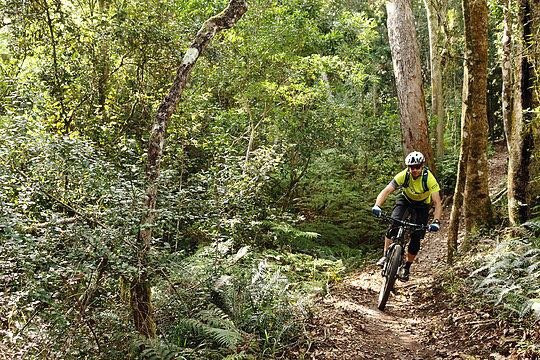 Garden Route Trail Park-克尼斯纳必去景点