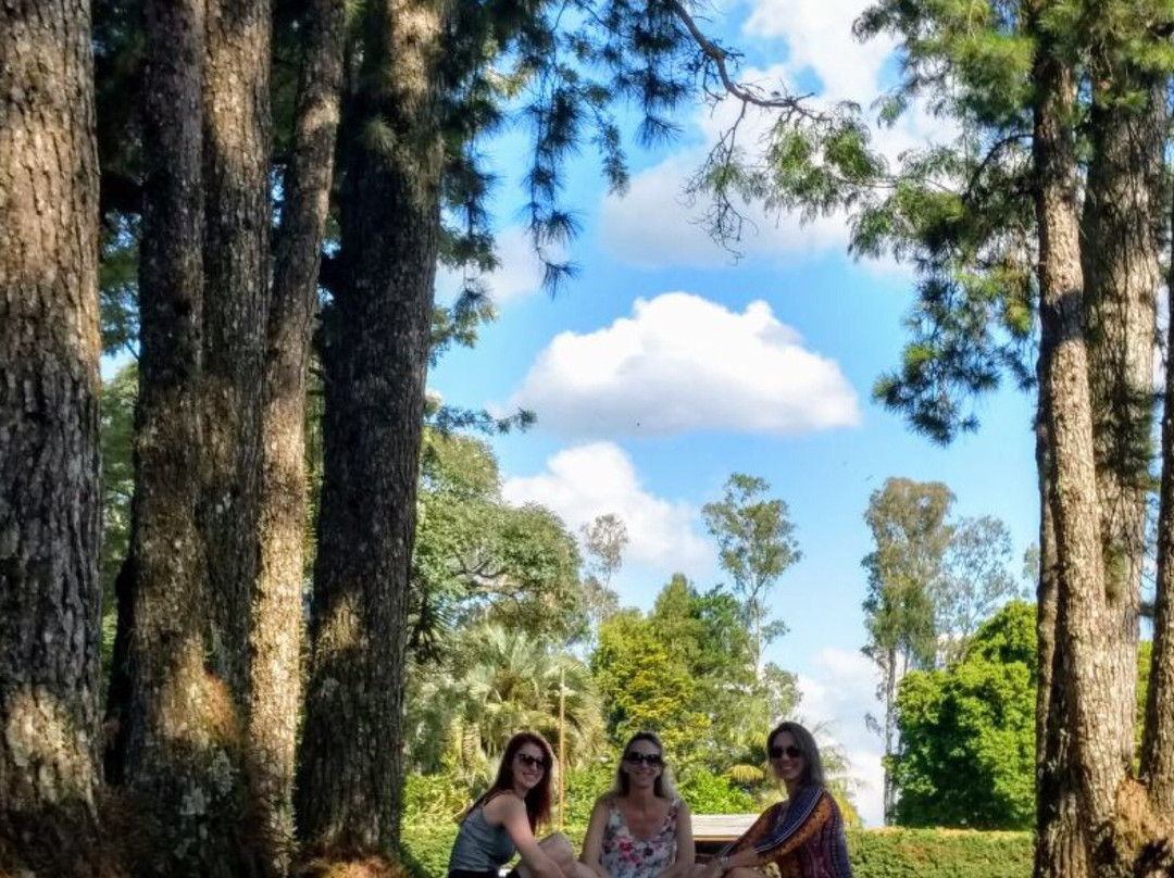 Porto Brazos-Ponta Grossa必去景点