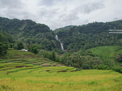 Tengku Lese Waterfall-Tengku Lese必去景点