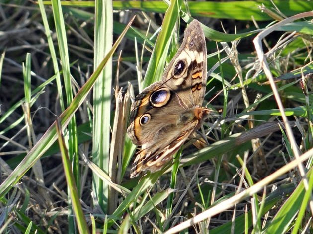 Hugo Lake State Park-Hugo必去景点
