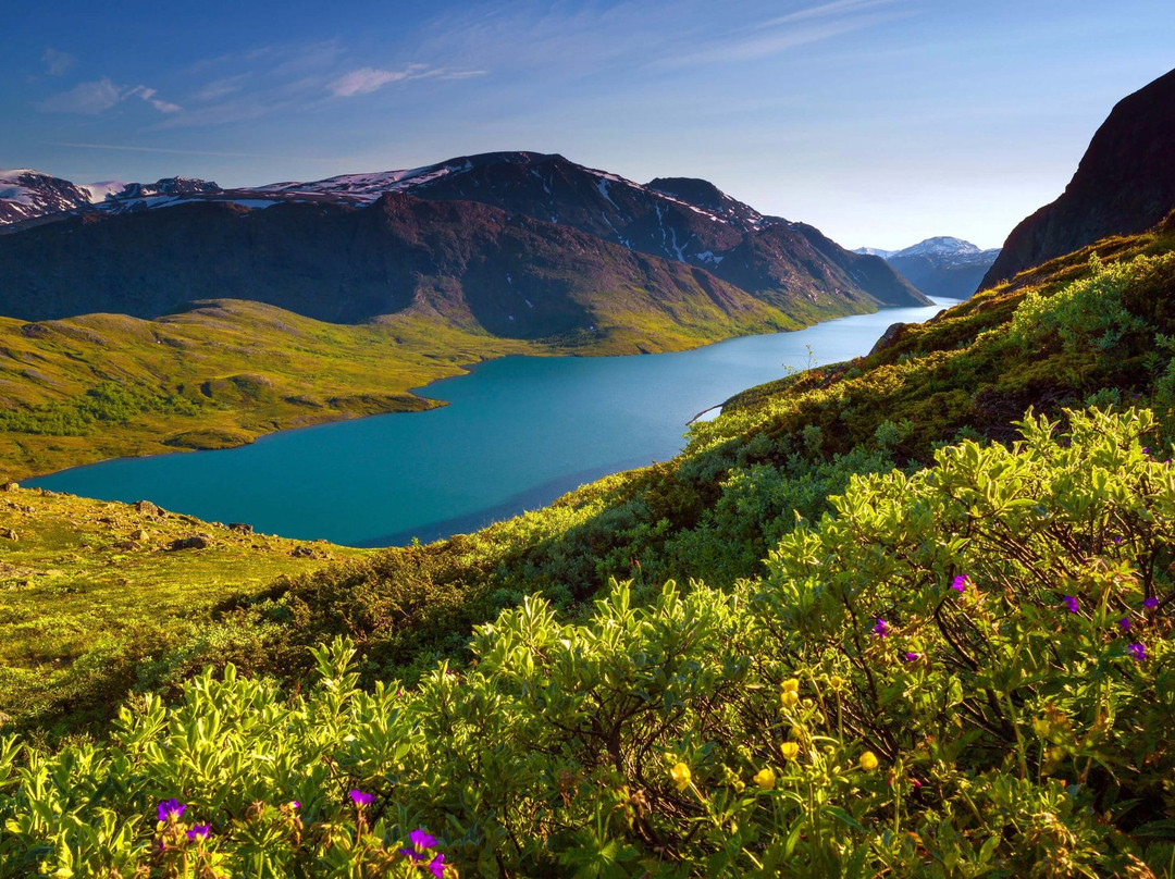 Jotunheimen National Park景点图片