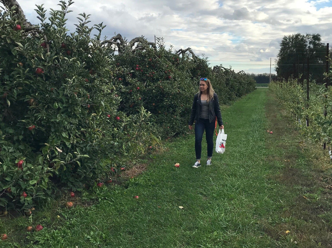 Johnston Fruit Farms-Swanton必去景点