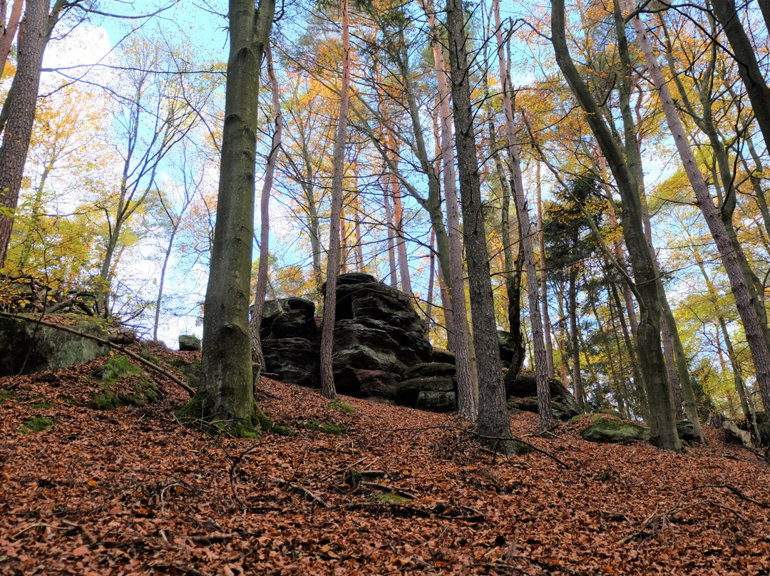 Barenlochweiher-Kindsbach必去景点