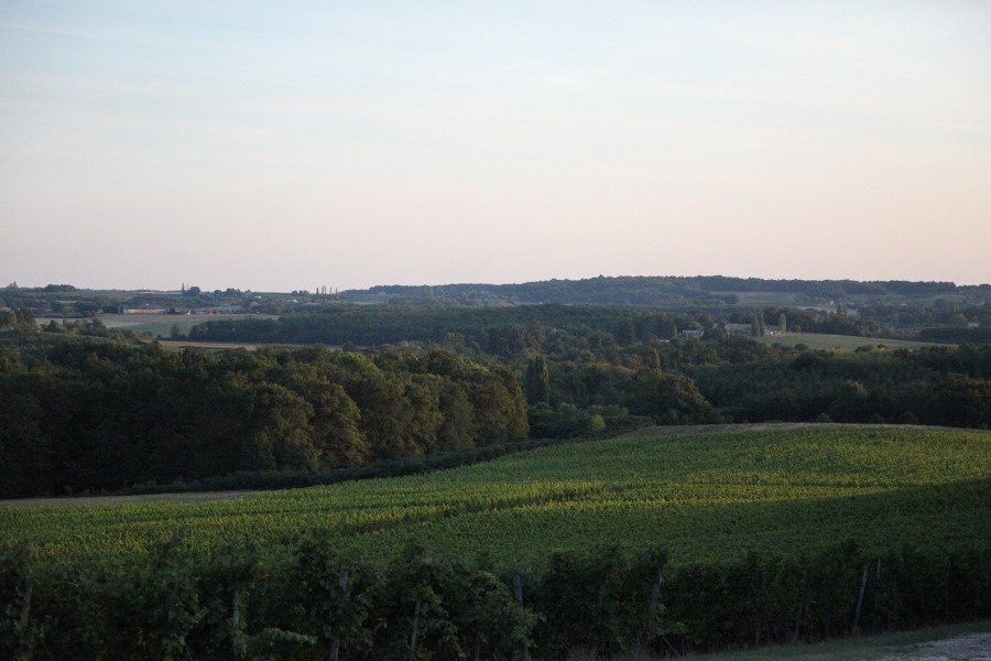 Château Montdoyen景点图片