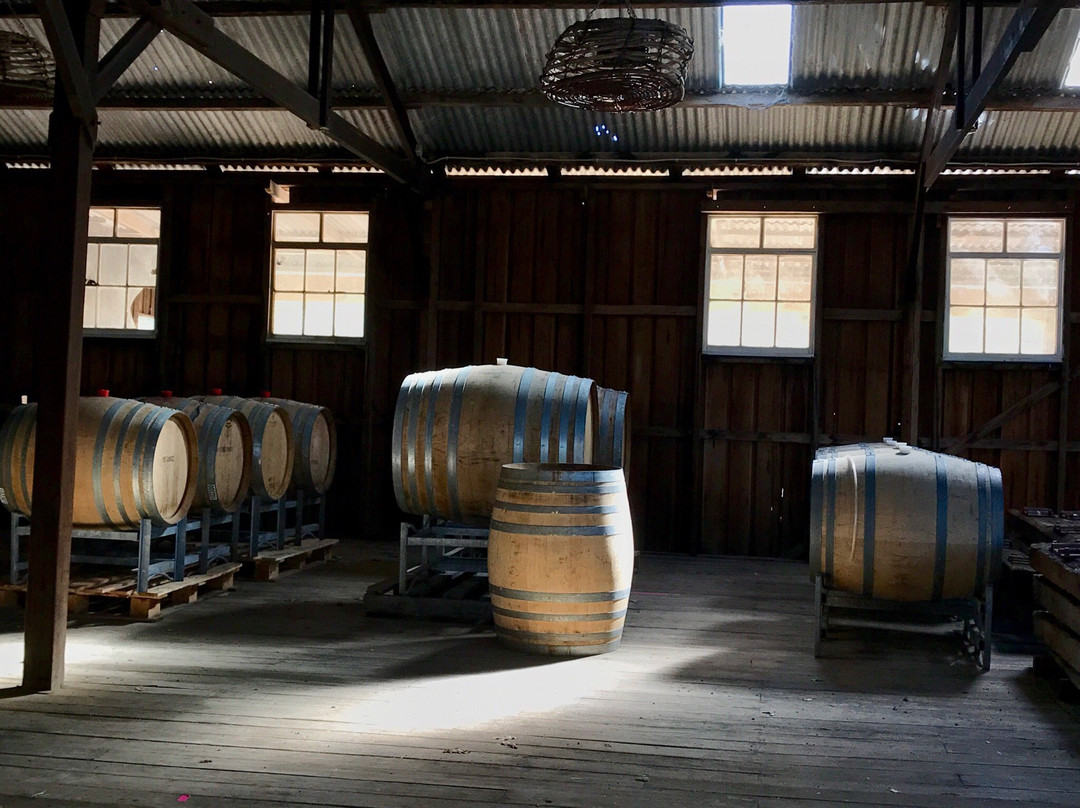 Wines for Joanie-Sidmouth必去景点