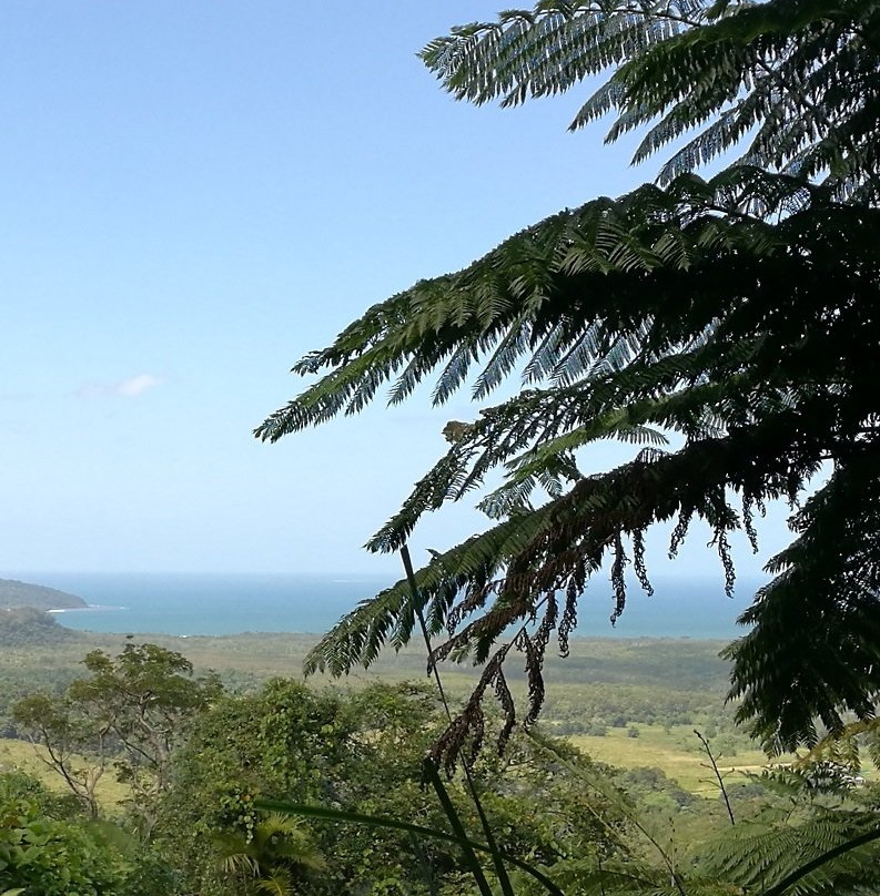 Walu Wugirriga Lookout
